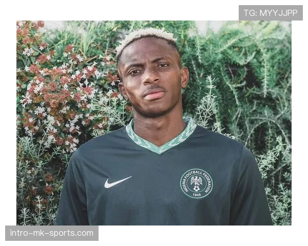 意甲冠军核心成员：奥斯梅恩的荣誉含金量